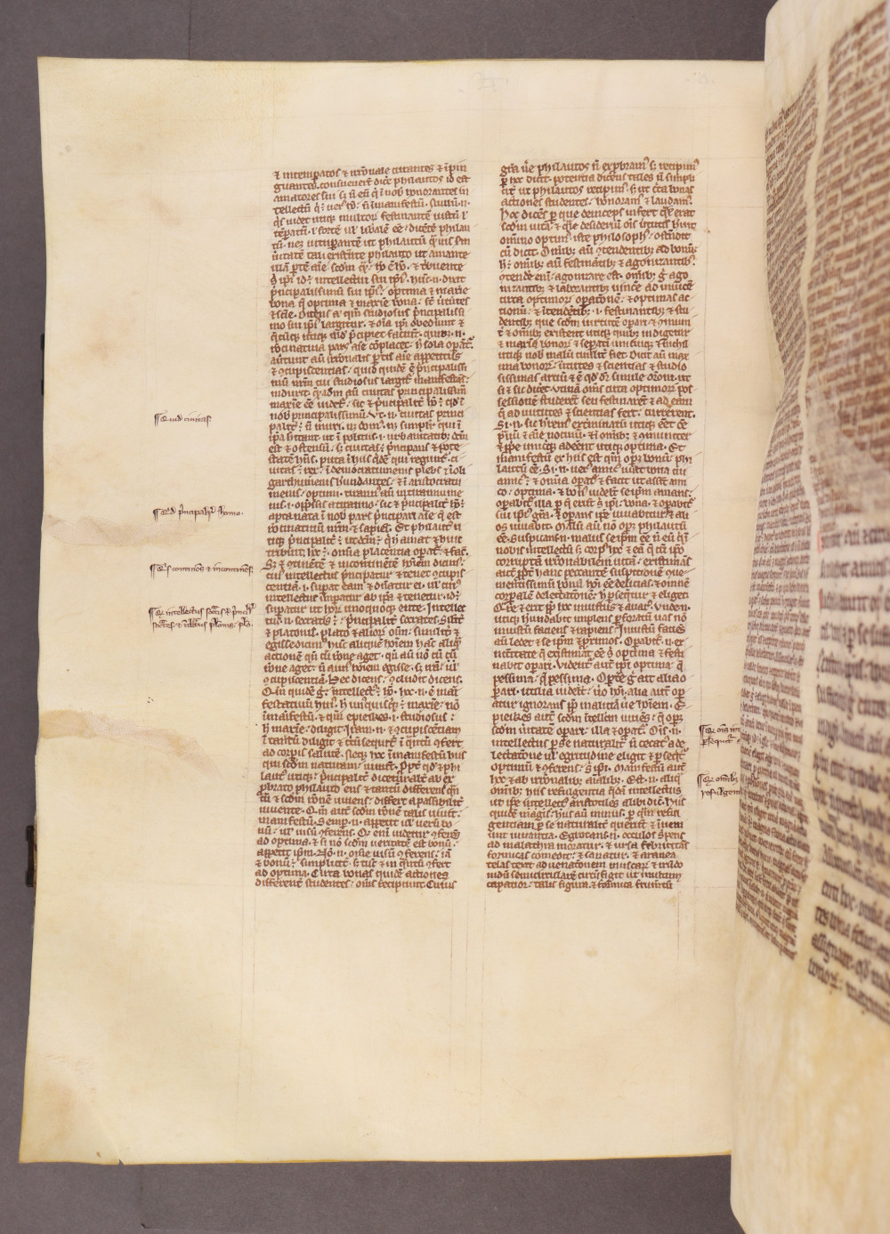 Folio 205 verso